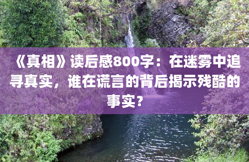 《真相》读后感800字：在迷雾中追寻真实，谁在谎言的背后揭示残酷的事实？