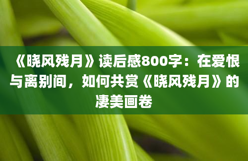 《晓风残月》读后感800字：在爱恨与离别间，如何共赏《晓风残月》的凄美画卷