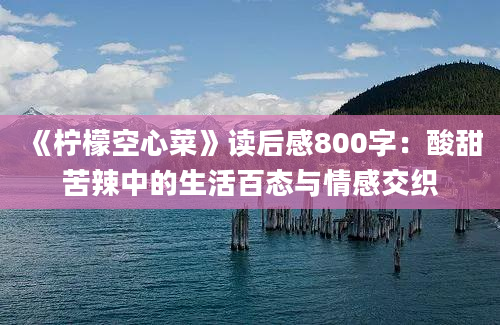 《柠檬空心菜》读后感800字：酸甜苦辣中的生活百态与情感交织