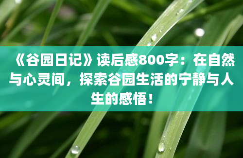 《谷园日记》读后感800字：在自然与心灵间，探索谷园生活的宁静与人生的感悟！