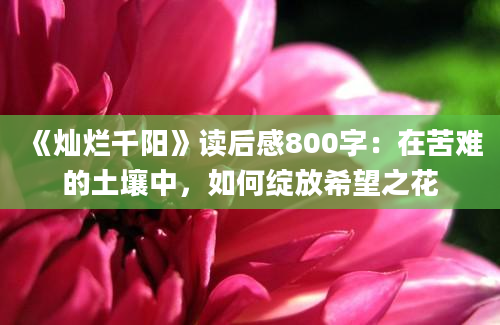 《灿烂千阳》读后感800字：在苦难的土壤中，如何绽放希望之花