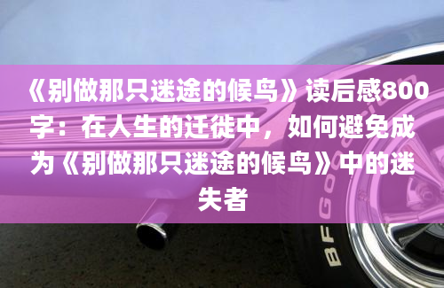 《别做那只迷途的候鸟》读后感800字：在人生的迁徙中，如何避免成为《别做那只迷途的候鸟》中的迷失者