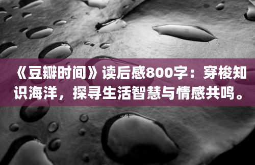 《豆瓣时间》读后感800字：穿梭知识海洋，探寻生活智慧与情感共鸣。