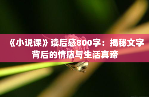 《小说课》读后感800字：揭秘文字背后的情感与生活真谛