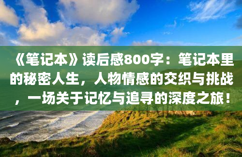 《笔记本》读后感800字：笔记本里的秘密人生，人物情感的交织与挑战，一场关于记忆与追寻的深度之旅！