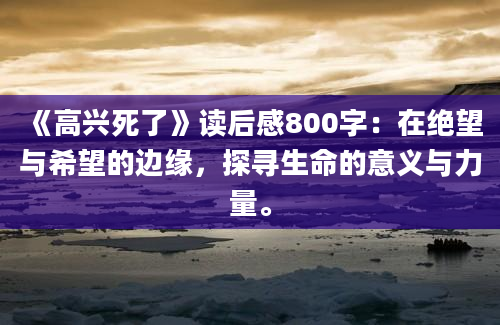 《高兴死了》读后感800字：在绝望与希望的边缘，探寻生命的意义与力量。