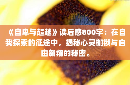 《自卑与超越》读后感800字：在自我探索的征途中，揭秘心灵枷锁与自由翱翔的秘密。