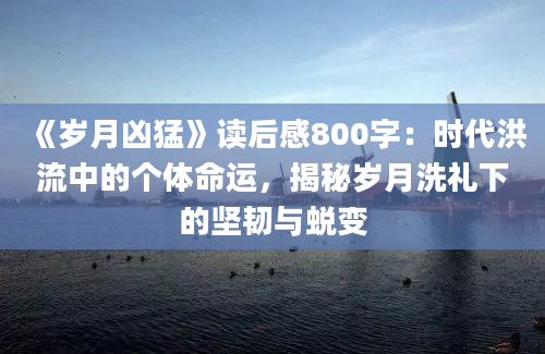 《岁月凶猛》读后感800字：时代洪流中的个体命运，揭秘岁月洗礼下的坚韧与蜕变