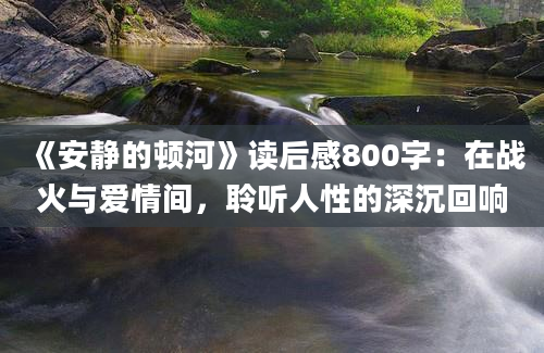 《安静的顿河》读后感800字：在战火与爱情间，聆听人性的深沉回响