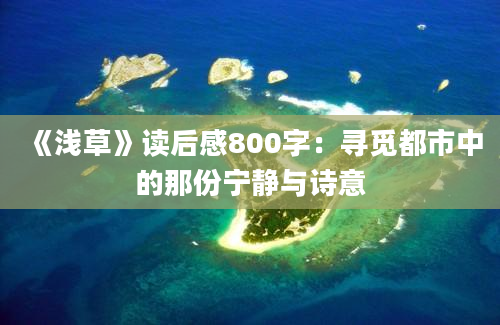 《浅草》读后感800字：寻觅都市中的那份宁静与诗意