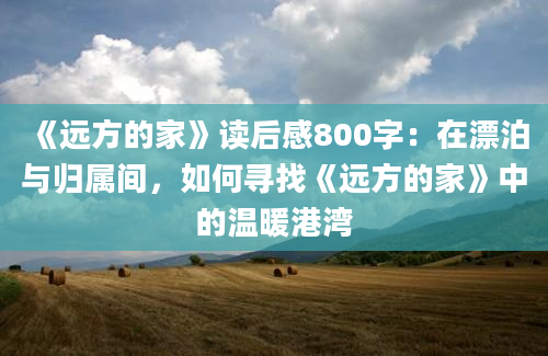 《远方的家》读后感800字：在漂泊与归属间，如何寻找《远方的家》中的温暖港湾