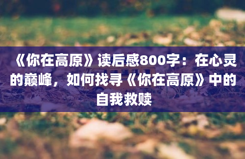 《你在高原》读后感800字：在心灵的巅峰，如何找寻《你在高原》中的自我救赎