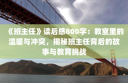 《班主任》读后感800字：教室里的温暖与冲突，揭秘班主任背后的故事与教育挑战