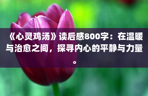 《心灵鸡汤》读后感800字：在温暖与治愈之间，探寻内心的平静与力量。