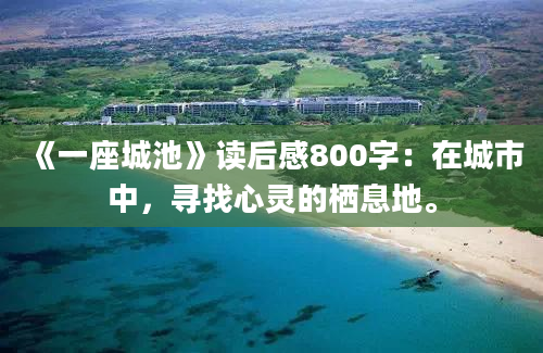 《一座城池》读后感800字：在城市中，寻找心灵的栖息地。