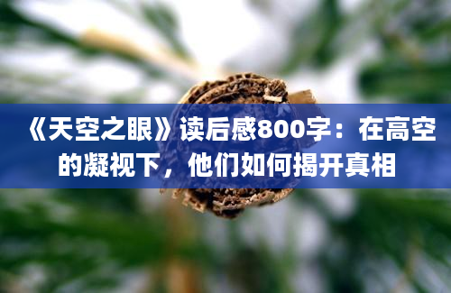 《天空之眼》读后感800字：在高空的凝视下，他们如何揭开真相