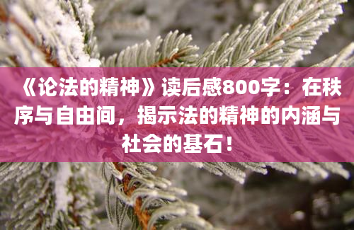 《论法的精神》读后感800字：在秩序与自由间，揭示法的精神的内涵与社会的基石！