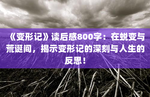 《变形记》读后感800字：在蜕变与荒诞间，揭示变形记的深刻与人生的反思！