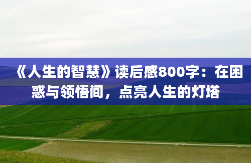 《人生的智慧》读后感800字：在困惑与领悟间，点亮人生的灯塔