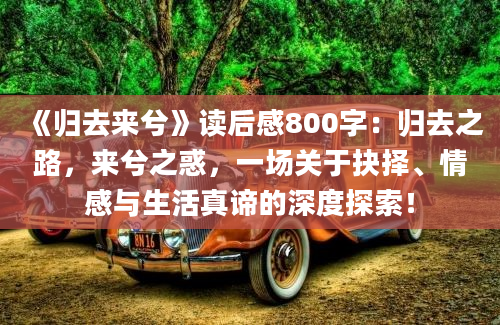 《归去来兮》读后感800字：归去之路，来兮之惑，一场关于抉择、情感与生活真谛的深度探索！