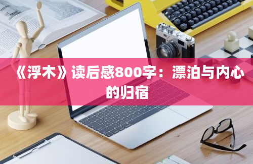 《浮木》读后感800字：漂泊与内心的归宿