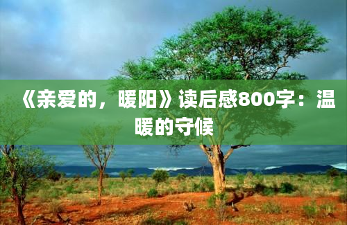 《亲爱的，暖阳》读后感800字：温暖的守候