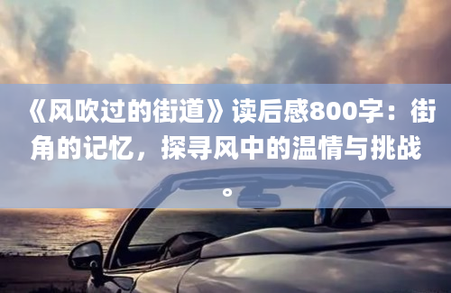 《风吹过的街道》读后感800字：街角的记忆，探寻风中的温情与挑战。