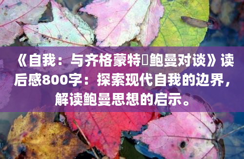 《自我：与齐格蒙特・鲍曼对谈》读后感800字：探索现代自我的边界，解读鲍曼思想的启示。