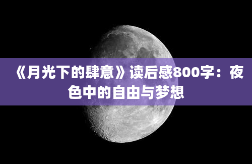 《月光下的肆意》读后感800字：夜色中的自由与梦想