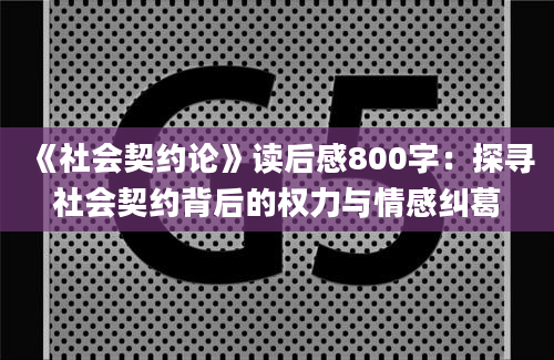 《社会契约论》读后感800字：探寻社会契约背后的权力与情感纠葛