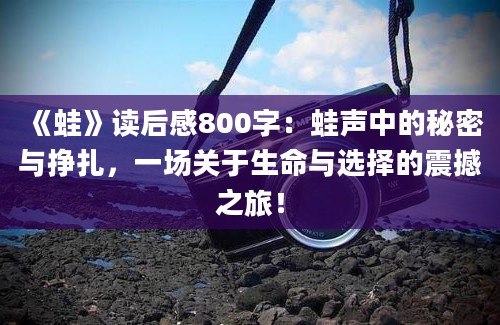 《蛙》读后感800字：蛙声中的秘密与挣扎，一场关于生命与选择的震撼之旅！