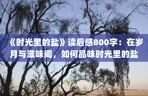 《时光里的盐》读后感800字：在岁月与滋味间，如何品味时光里的盐