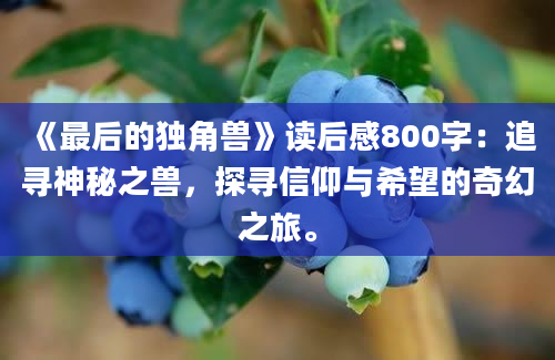 《最后的独角兽》读后感800字：追寻神秘之兽，探寻信仰与希望的奇幻之旅。