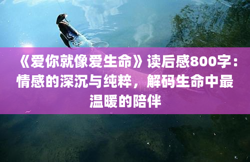 《爱你就像爱生命》读后感800字：情感的深沉与纯粹，解码生命中最温暖的陪伴