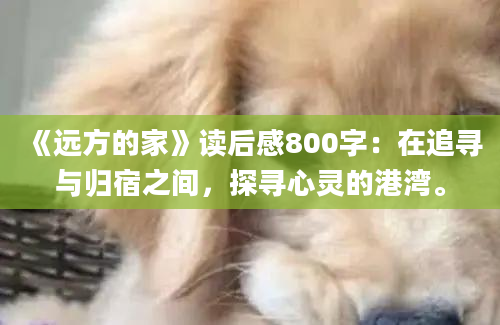 《远方的家》读后感800字：在追寻与归宿之间，探寻心灵的港湾。