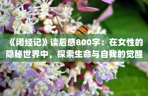 《闭经记》读后感800字：在女性的隐秘世界中，探索生命与自我的觉醒