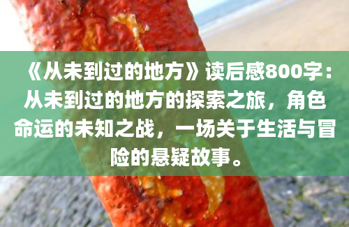 《从未到过的地方》读后感800字：从未到过的地方的探索之旅，角色命运的未知之战，一场关于生活与冒险的悬疑故事。