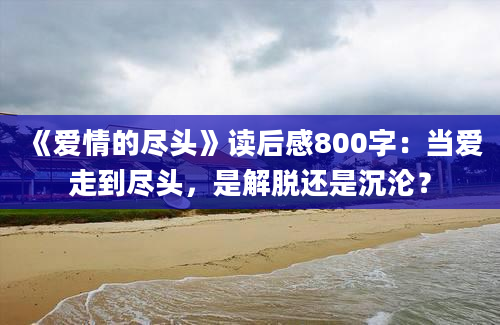 《爱情的尽头》读后感800字：当爱走到尽头，是解脱还是沉沦？