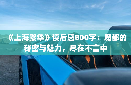 《上海繁华》读后感800字：魔都的秘密与魅力，尽在不言中