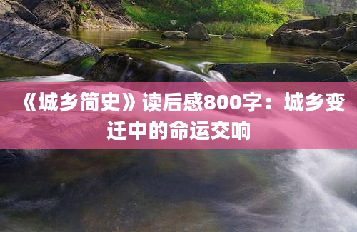 《城乡简史》读后感800字：城乡变迁中的命运交响