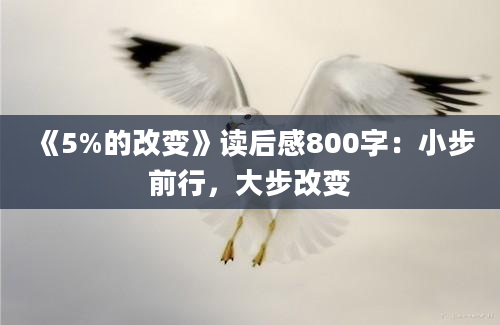 《5%的改变》读后感800字：小步前行，大步改变