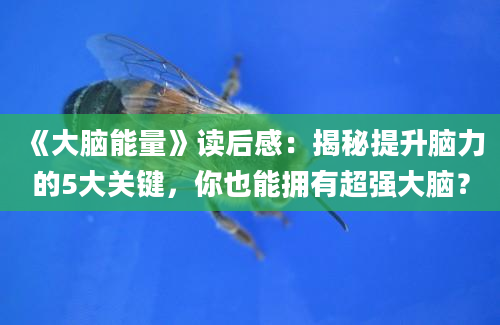 《大脑能量》读后感：揭秘提升脑力的5大关键，你也能拥有超强大脑？