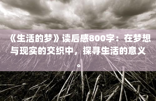 《生活的梦》读后感800字：在梦想与现实的交织中，探寻生活的意义。