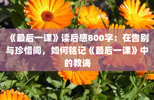 《最后一课》读后感800字：在告别与珍惜间，如何铭记《最后一课》中的教诲