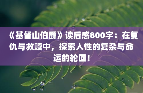 《基督山伯爵》读后感800字：在复仇与救赎中，探索人性的复杂与命运的轮回！