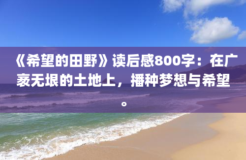 《希望的田野》读后感800字：在广袤无垠的土地上，播种梦想与希望。