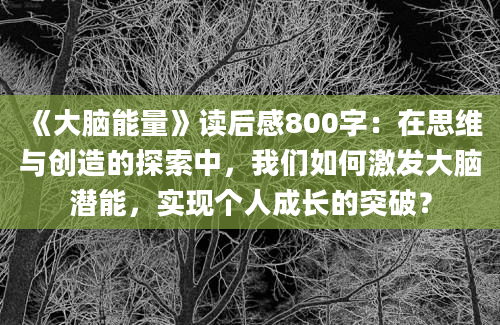 《大脑能量》读后感800字：在思维与创造的探索中，我们如何激发大脑潜能，实现个人成长的突破？