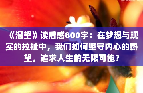 《渴望》读后感800字：在梦想与现实的拉扯中，我们如何坚守内心的热望，追求人生的无限可能？