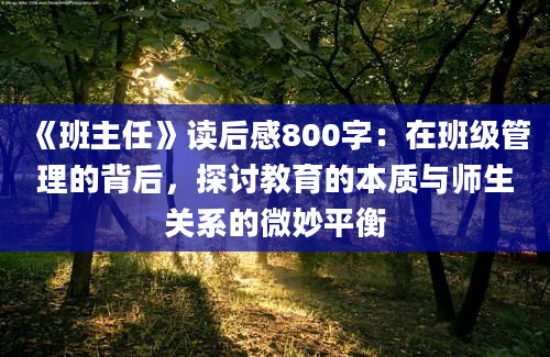 《班主任》读后感800字：在班级管理的背后，探讨教育的本质与师生关系的微妙平衡