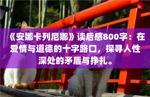 《安娜卡列尼娜》读后感800字：在爱情与道德的十字路口，探寻人性深处的矛盾与挣扎。